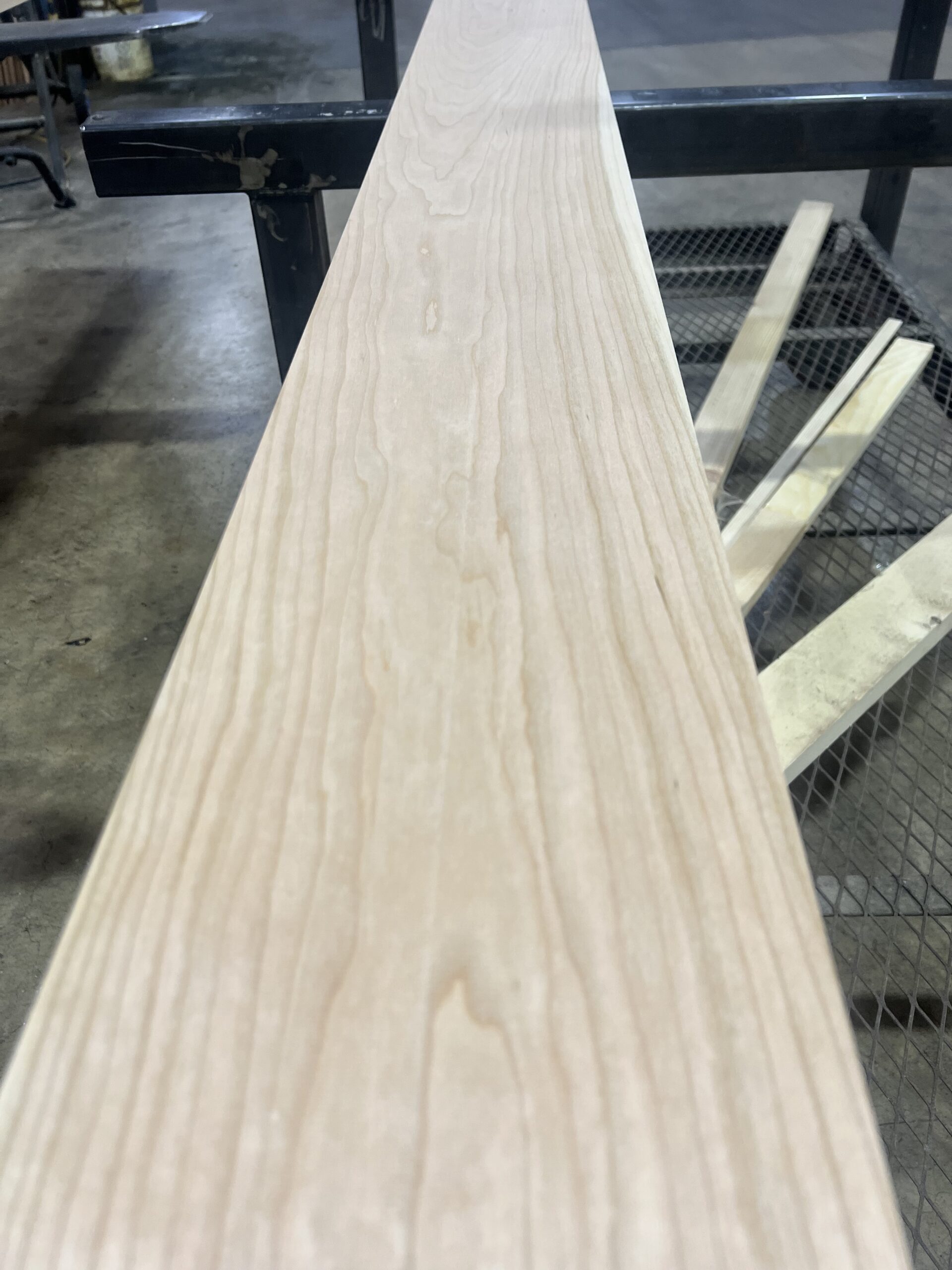 Northern Black Cherry