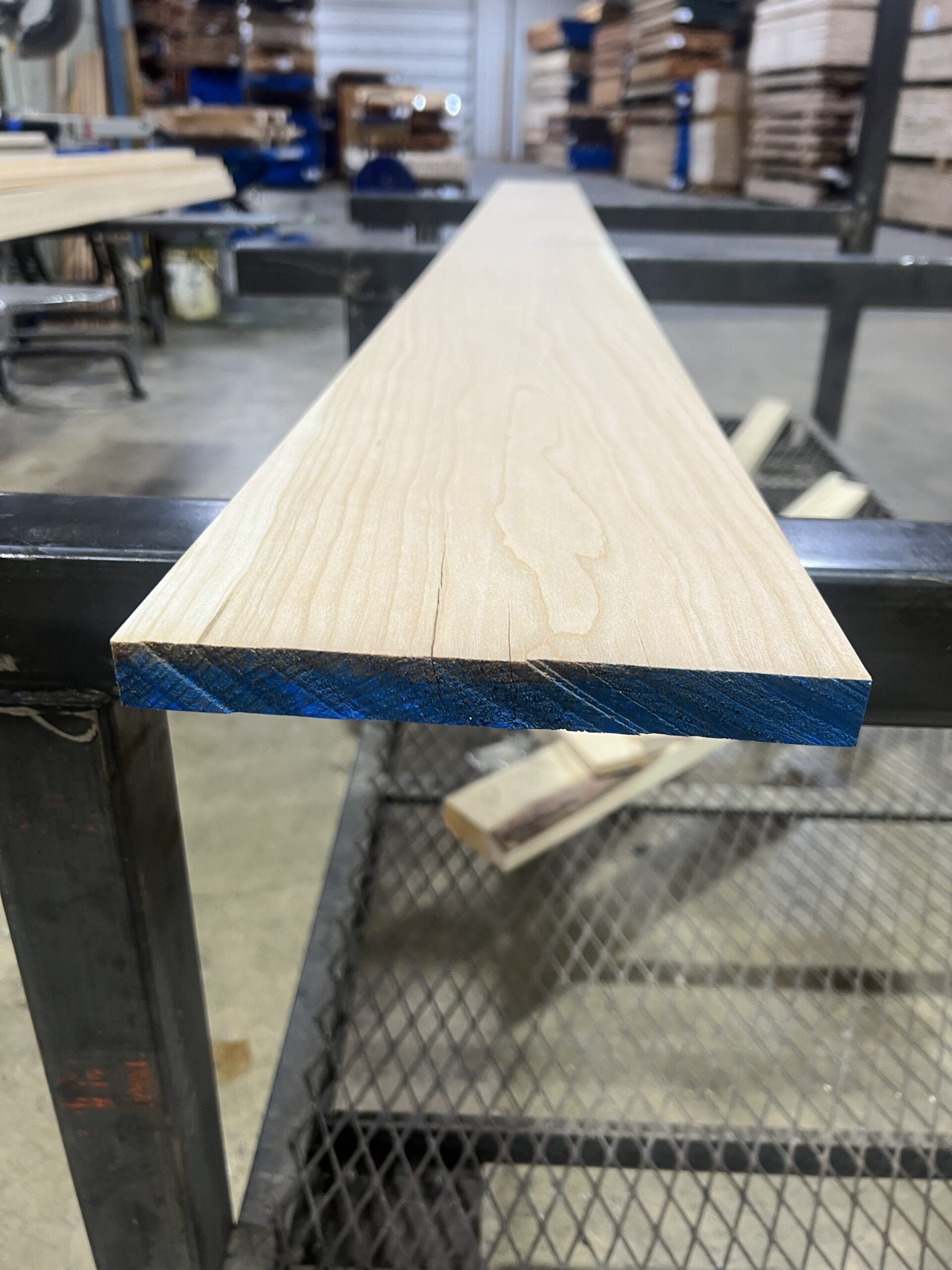 Northern Black Cherry - Image 2