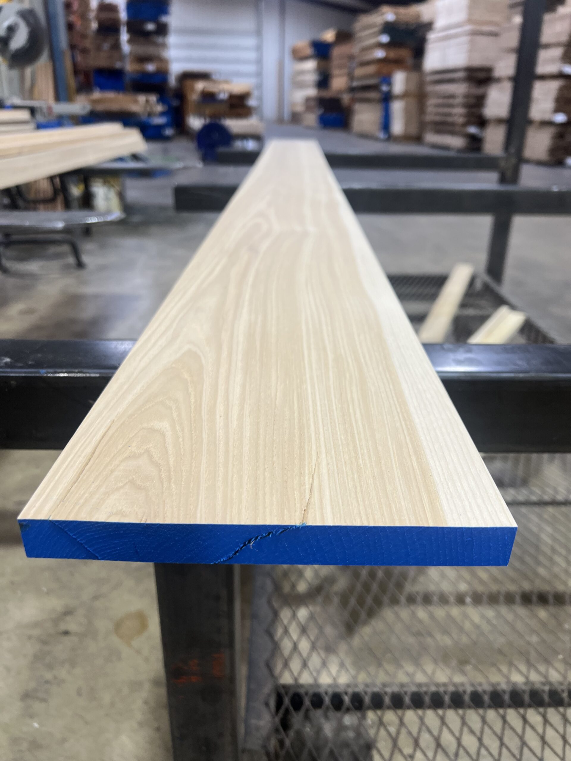 Northern Calico Hickory - Image 2