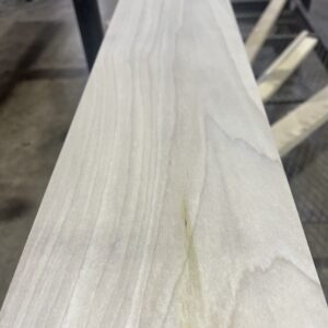 Poplar