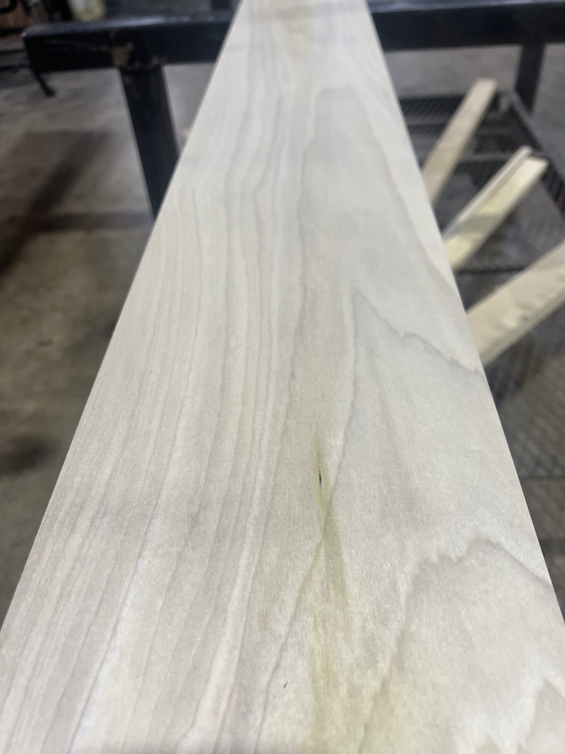 Poplar