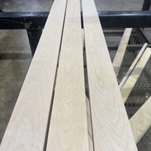 Northern White Birch