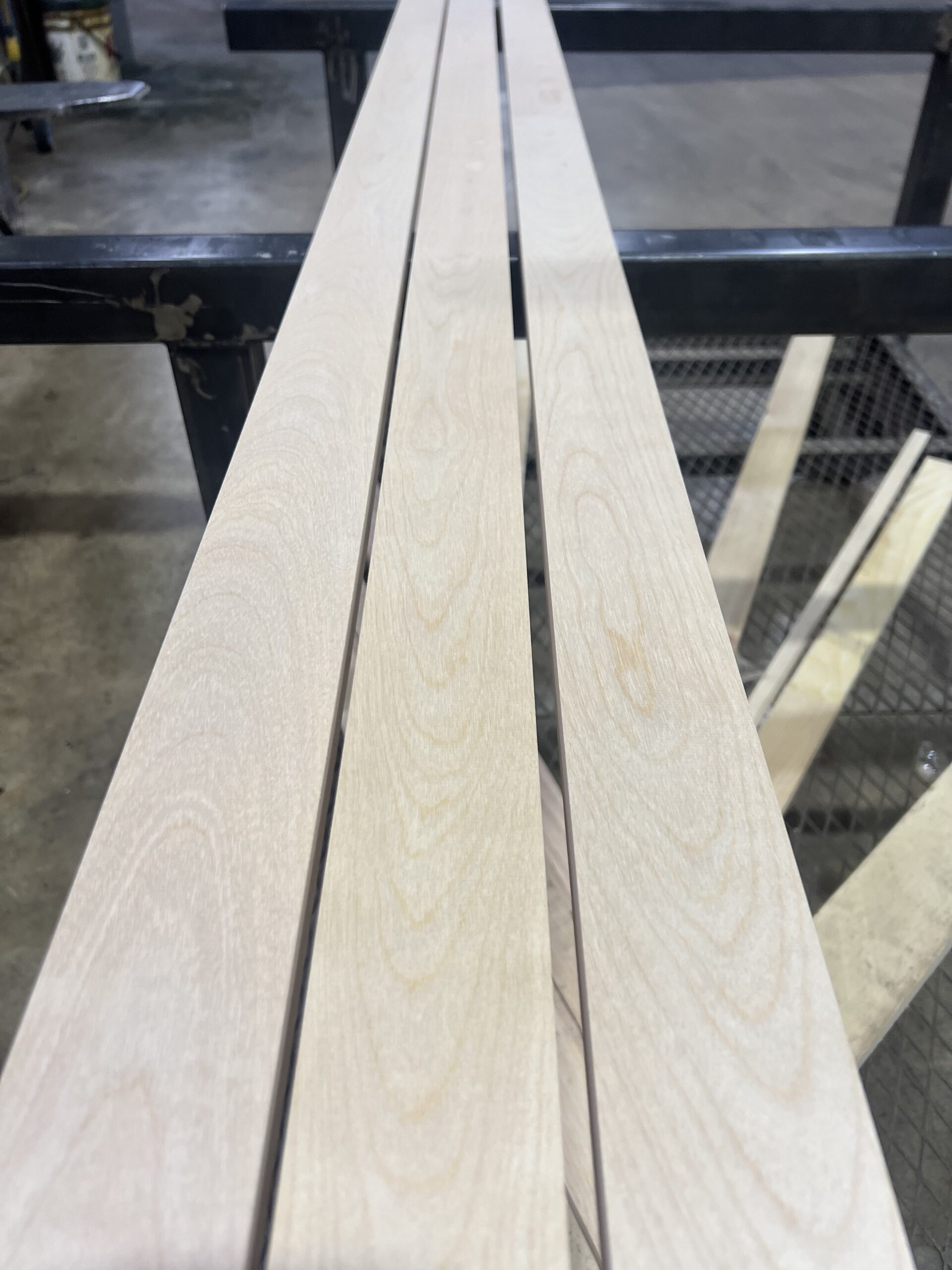 Northern White Birch