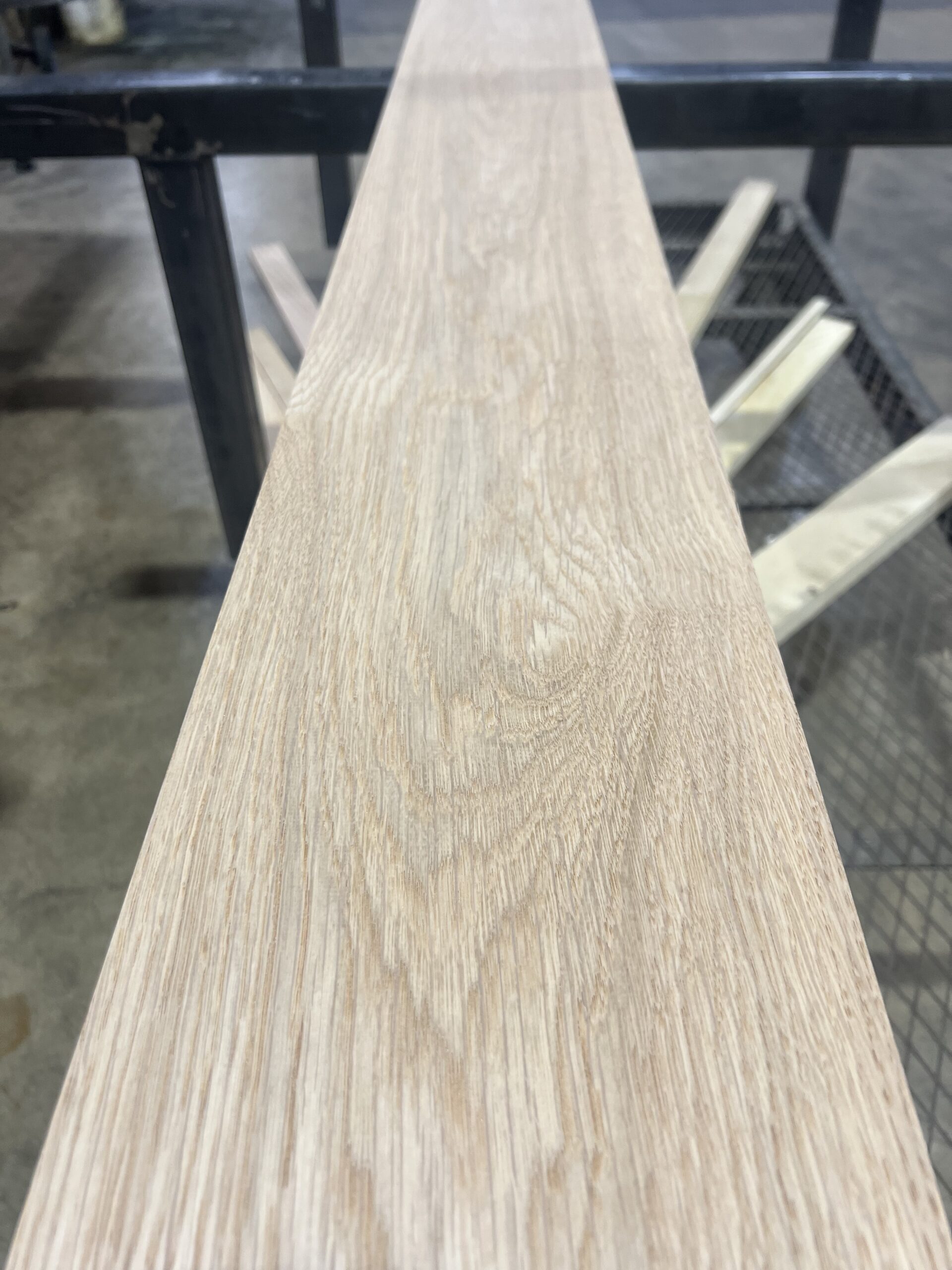 Northern White Oak
