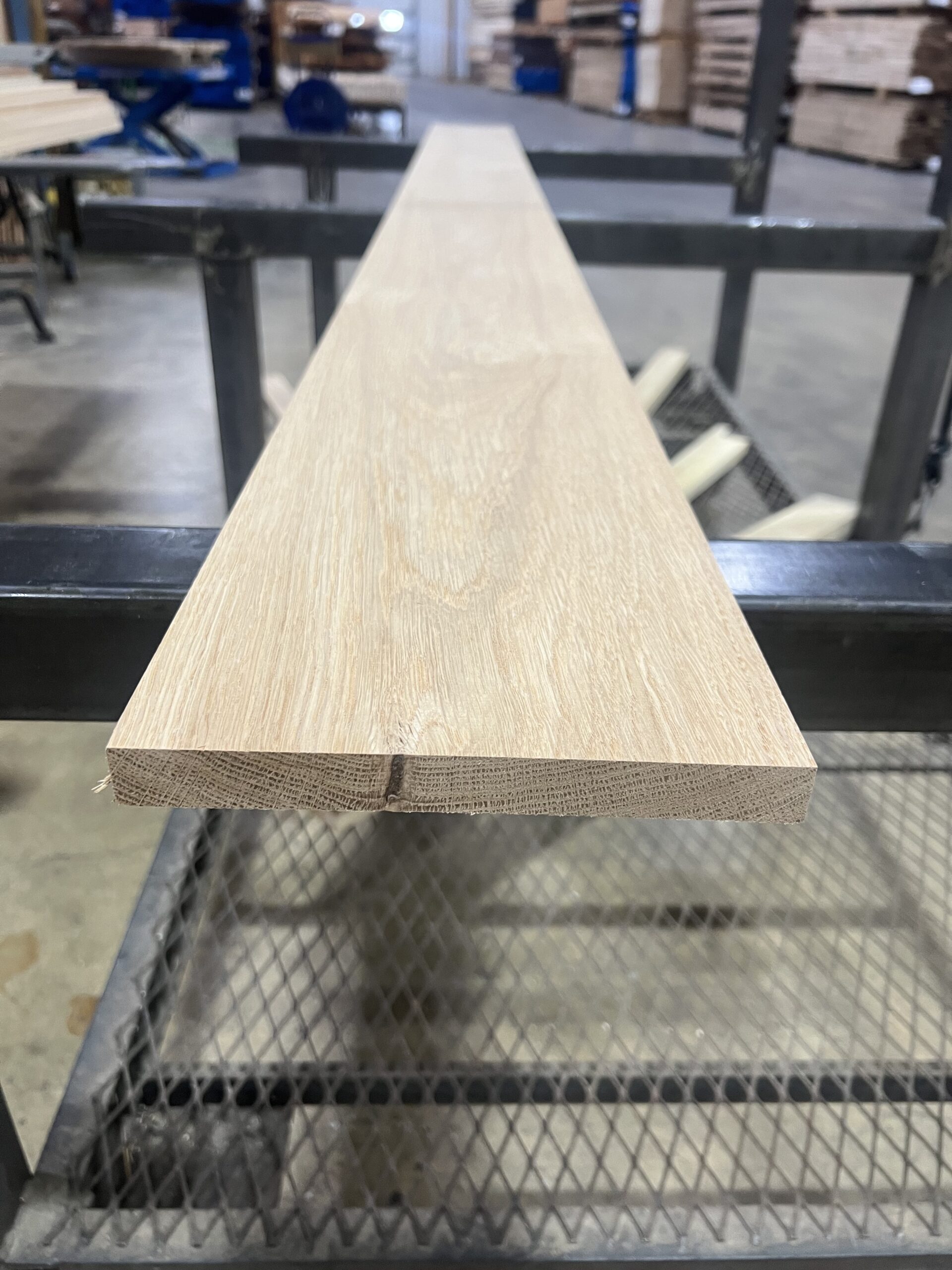 Northern White Oak - Image 2
